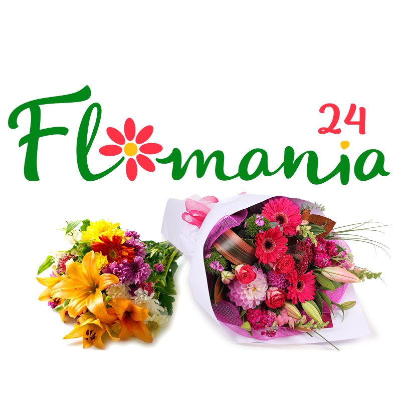 Flomania24